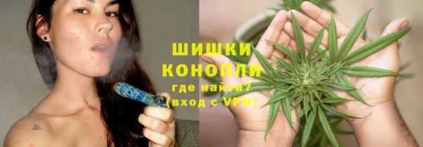 PSILOCYBIN Белокуриха