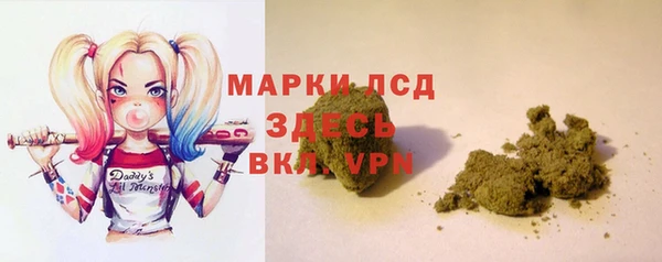 PSILOCYBIN Белокуриха